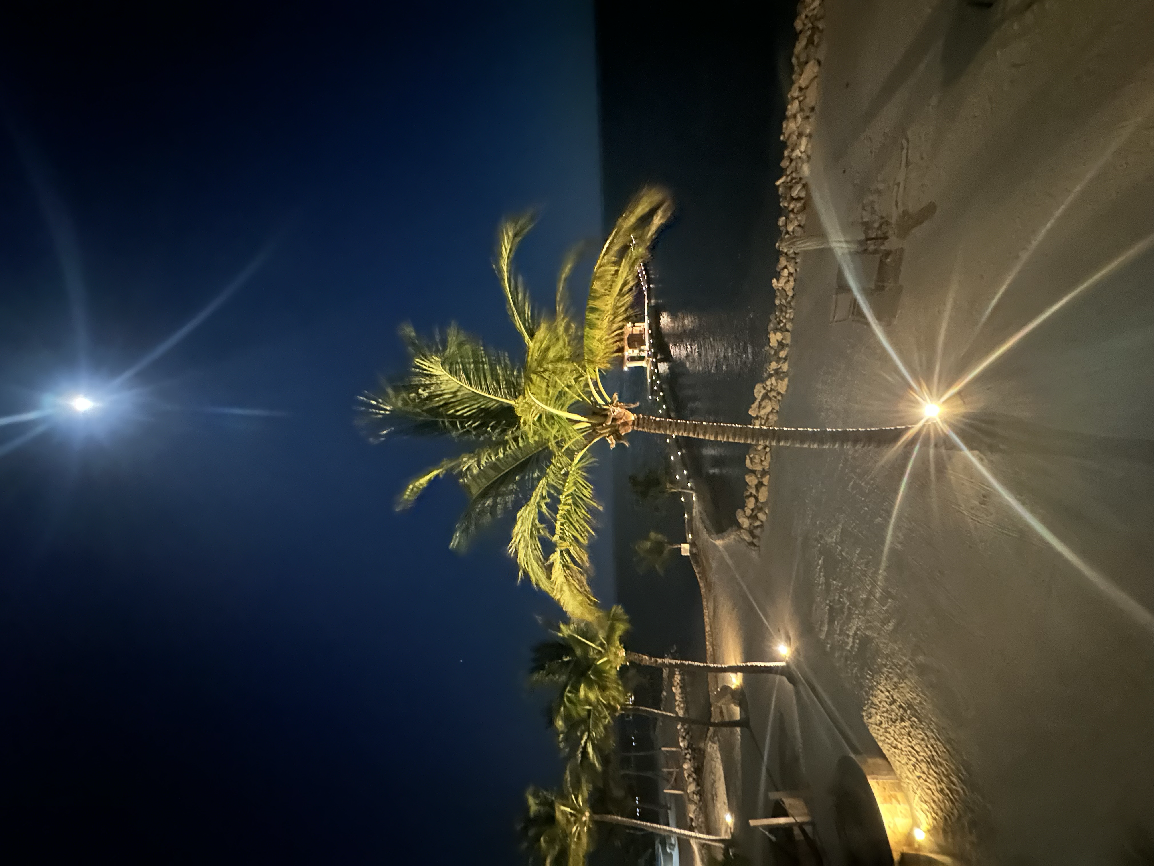 San Pedro Night